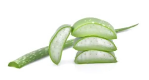 Chladivé ošetření