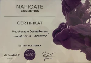 Ocenění Studia KOSLEMA